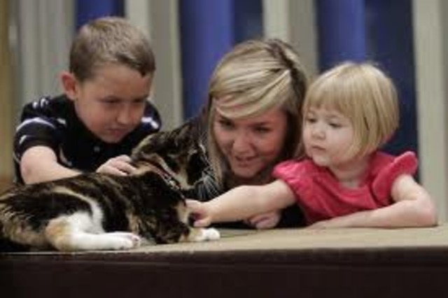 Willow is Identified