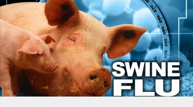 Γρίπη των χοίρων