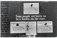 Forced sterilization takes off