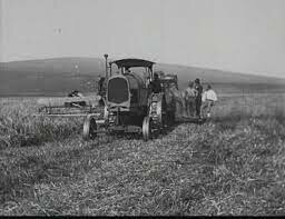 Improvement of the work conditions of the peasants