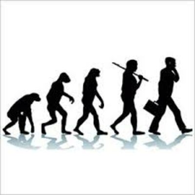 Timeline: Evolución de la Administración.