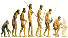 Timeline: Evolución de la administración en sus diferentes etapas