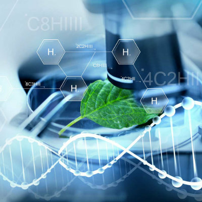 Timeline:  Antecedentes Históricos de la Biología