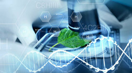 Timeline:  Antecedentes Históricos de la Biología