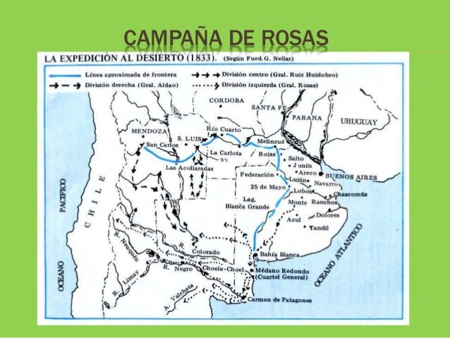 campaña de rosas
