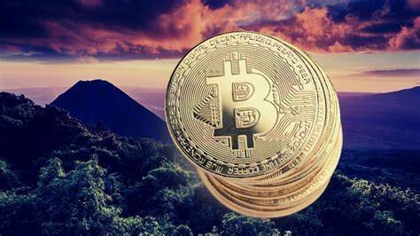 Internet 2021 bitcoin El Salvador