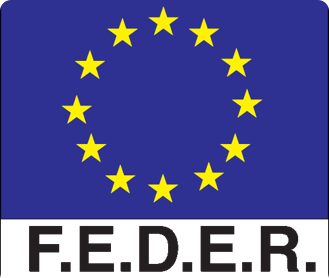 CREACIÓ DEL FEDER