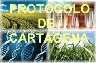 Protocolo ambiental de Cartagena