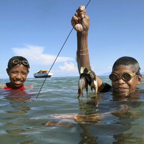 Informe sobre los Objetivos de Desarrollo Sostenible 2020