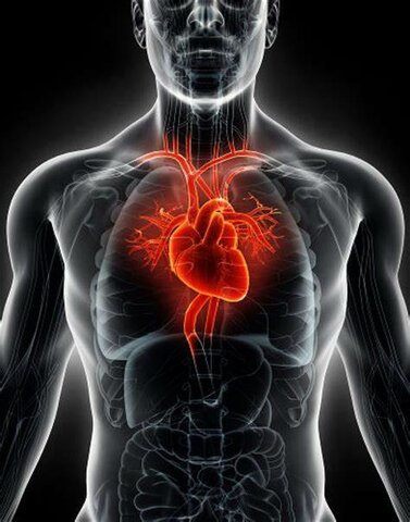 Quais são os principais marcadores cardíacos e seus valores de referência?