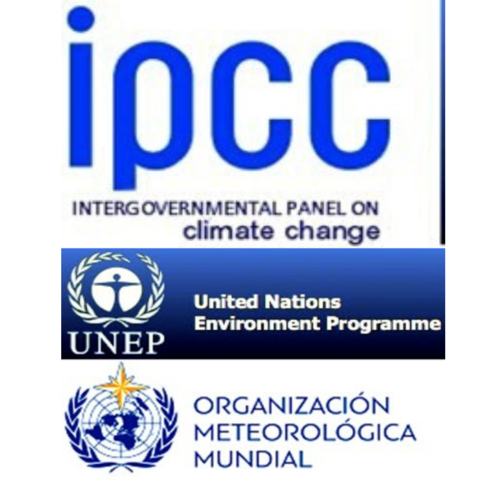 Creation under the patronage of the ONU