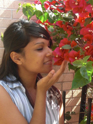 Cognitive Development