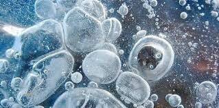 Abiogénesis-Francesco Redi