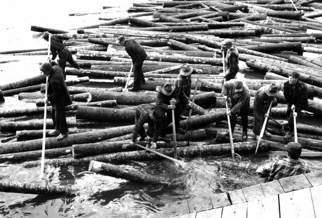 Produit qui augmente en importance