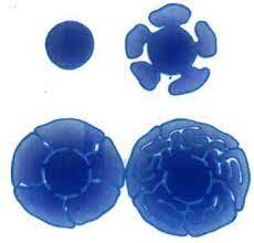 Teoría de los plegamientos de membrana-Robertson