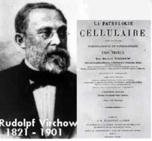 Libro patología celular