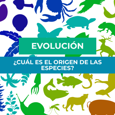 Timeline: "EVOLUCIÓN Y SUS PENSADORES"