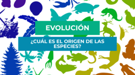 Timeline: "EVOLUCIÓN Y SUS PENSADORES"
