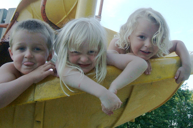 Monkeys on a slide!!