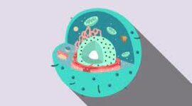 Timeline: Cell Biology Timeline