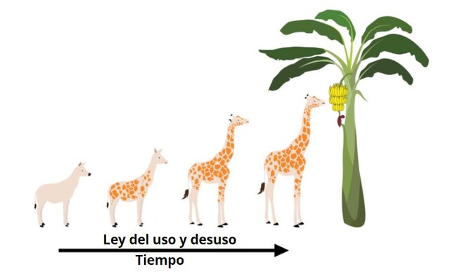 Transformismo o Lamarckismo