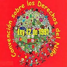 Ley 12 de 1991