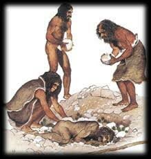 Actividades de supervivencia. Comienzo de la Vida.