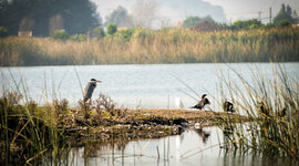 Timeline: Cronología de hitos históricos y ambientales
