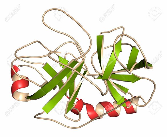 Extractos enriquecidos de tripsina