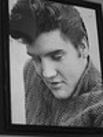 Elvis