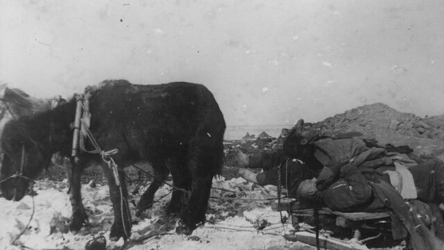 Black Death reached Lake Issyk Kul
