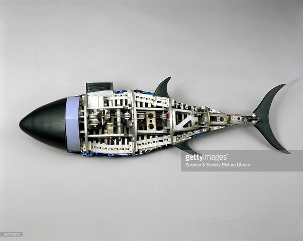 RoboTuna