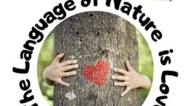 Timeline: 'The Language of Nature is Love' Student Meetings