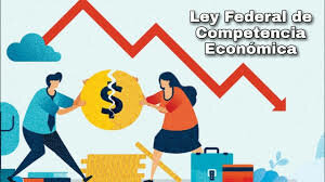 Ley Federal de Competencia Económica