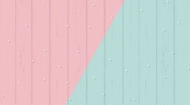Timeline: PRACTICA