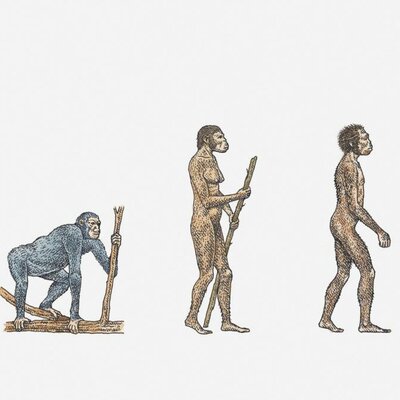 Timeline: trabajo practico BIOLOGIA