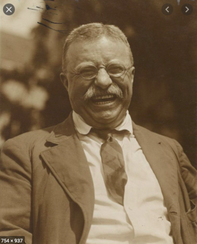 Theodore Roosevelt becomes President 1901