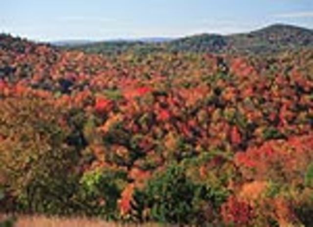 I went with my family the Virginia