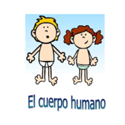 Timeline: CUERPO HUMANO