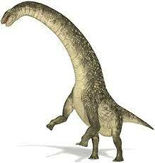 A Fumanya hi habiten els Titanosaures (70.000.000 anys)