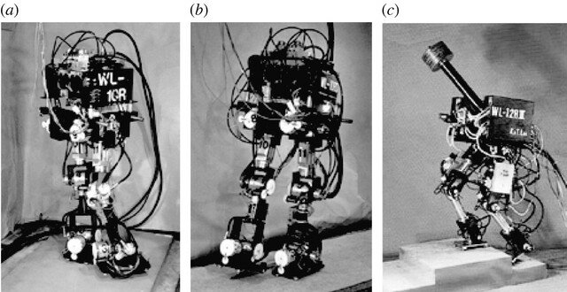 La caminata cuasi realizada por WL-9DR.