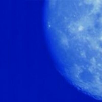 Timeline: Las lágrimas de shiba