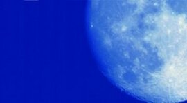 Timeline: Las lágrimas de shiba