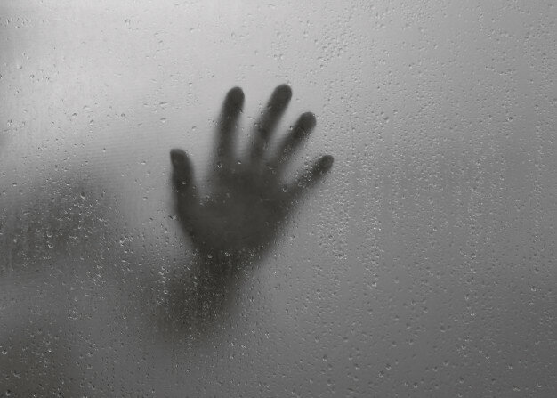 LA MANO EN EL ESPEJO