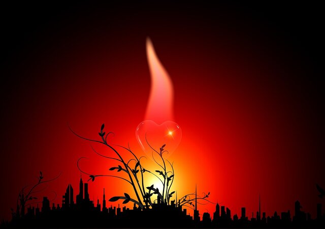 DEL AMOR Y OTROS DESASTRES