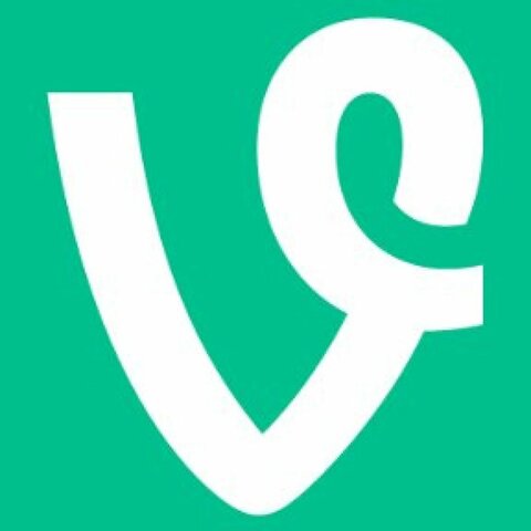 Vine