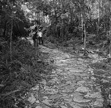 CAMINOS Y CARRETERAS