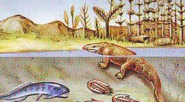 Timeline: LOS PRIMEROS TETRÁPODOS Y ANFIBIOS MODERNOS