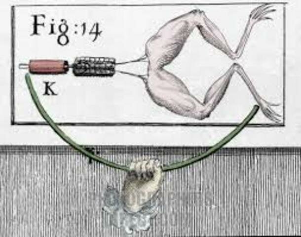 CORRIENTES NERVIOSAS ELECTRICAS EN LAS ANCAS DE RANA