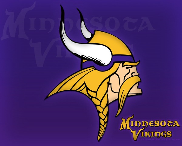 Vikings dicover the new world